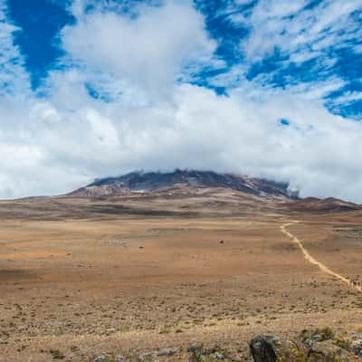 Kilimanjaro Panorama, Tanzania