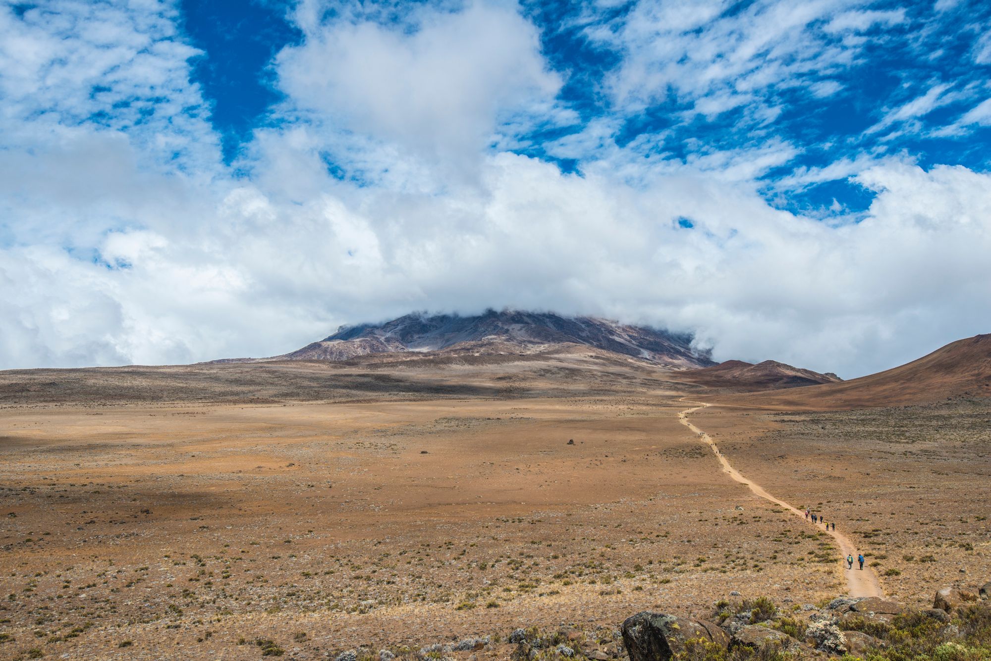 Kilimanjaro Panorama, Tanzania
