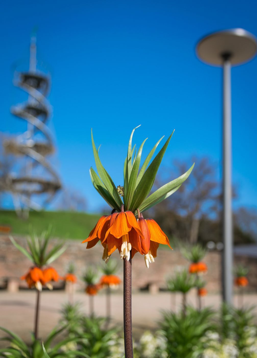 Killesbergpark, Stuttgart, Germany