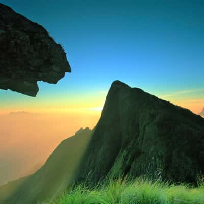 Leopard rock at Kolukkumalai, India