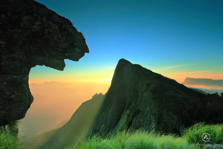 Leopard rock at Kolukkumalai