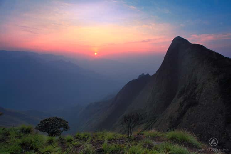 Leopard rock at Kolukkumalai