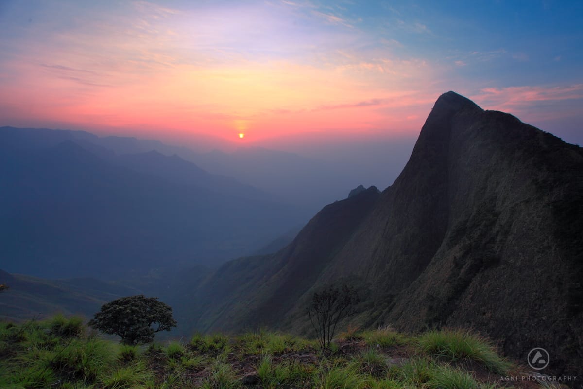 Leopard rock at Kolukkumalai, India