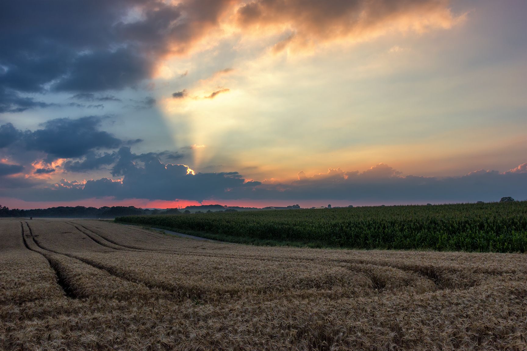 Lohmar Albach - Sunset Fields, Germany