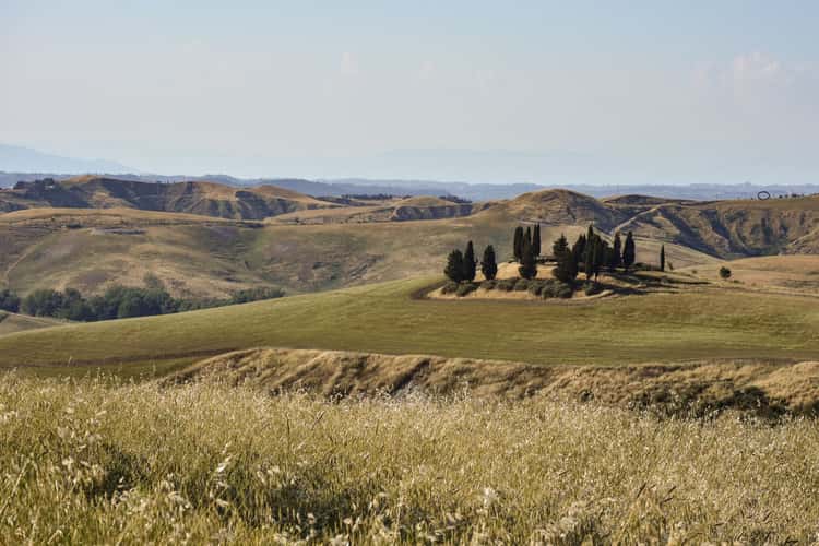 Marcampo