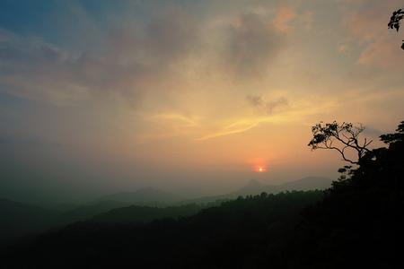 Karadippara View Point, Munnar