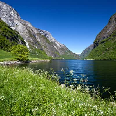 Nærøyfjorden, Norway