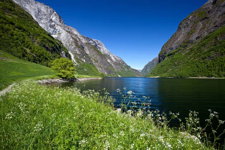 Nærøyfjorden