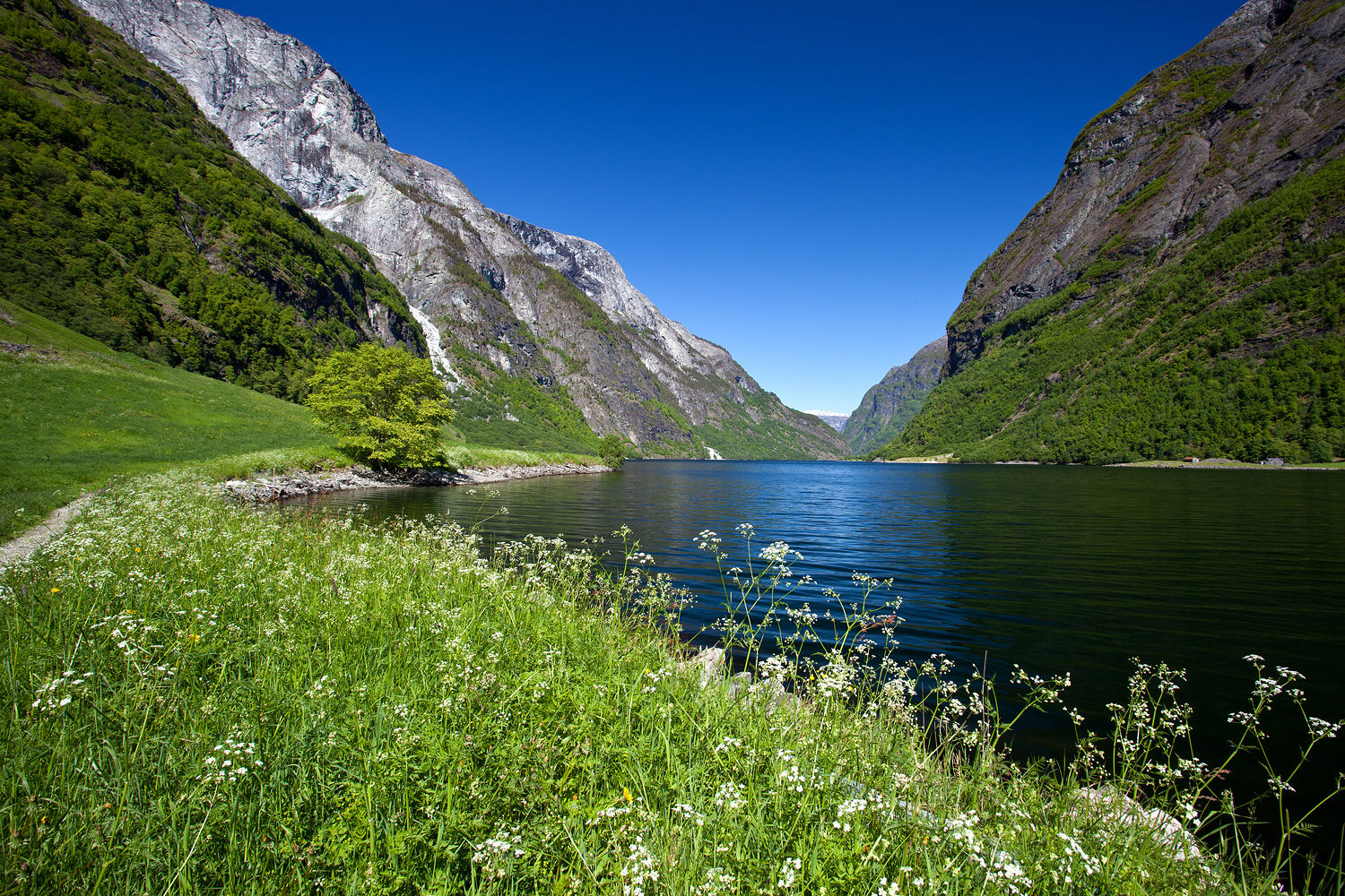 Nærøyfjorden, Norway