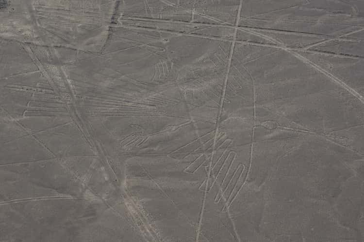 Nazca Lines