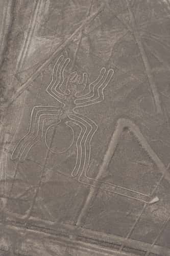Nazca Lines