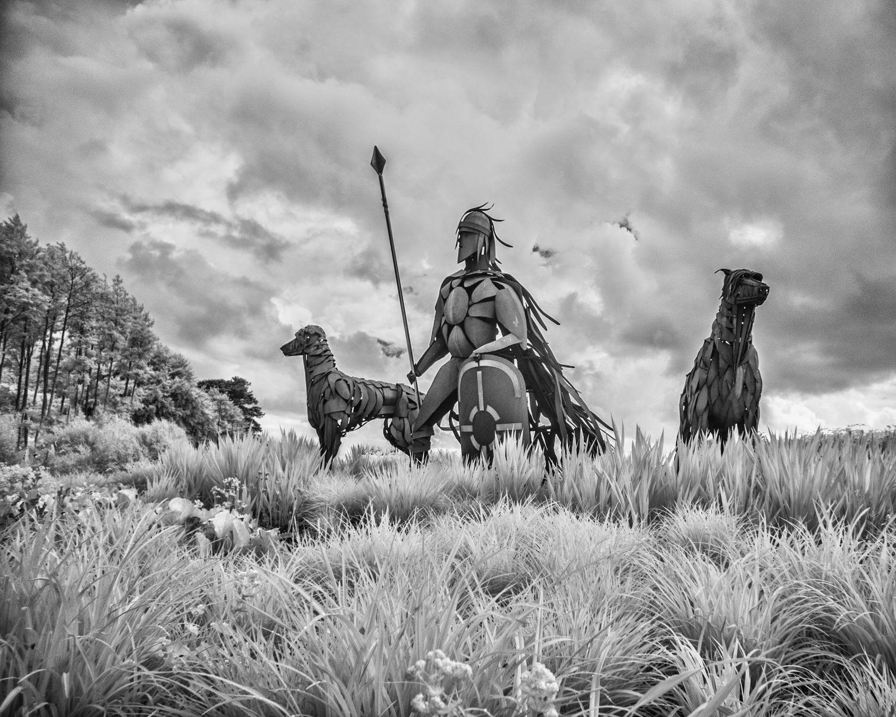 One man and his dogs, Ireland