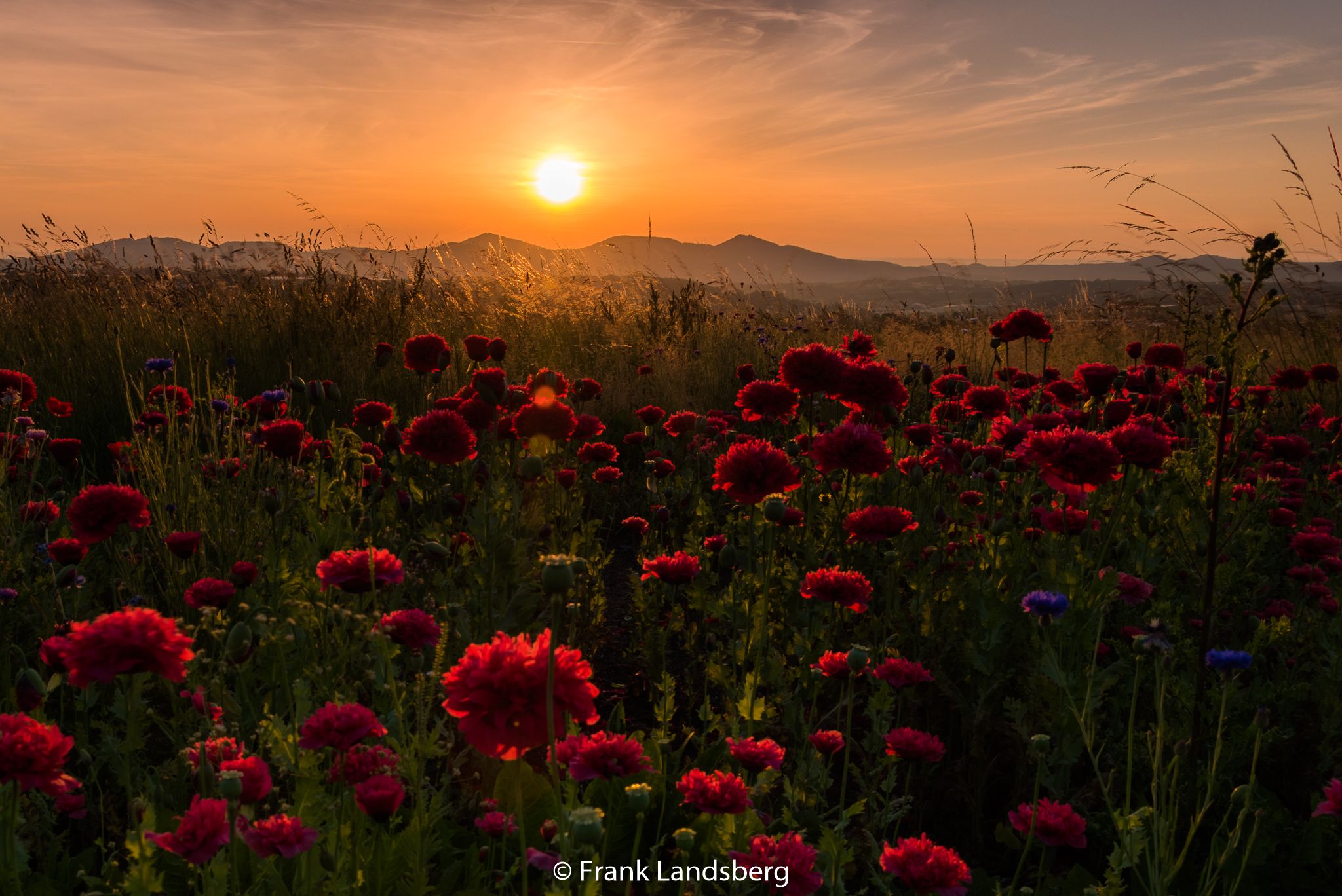 Panoramic view of the Siebengebirge, Germany