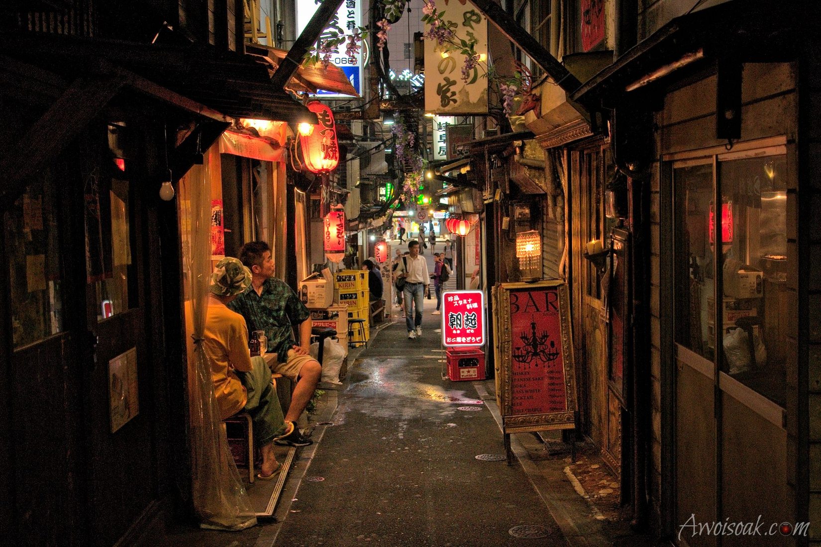 Piss Alley Omoide Yokocho Japan