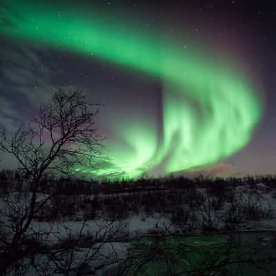 Ringvassøya - Northern lights spot, Norway