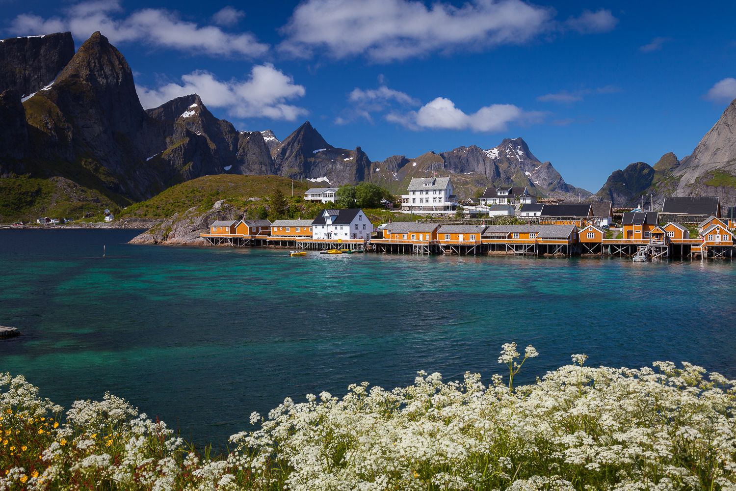 Sakrisøy Roruber, Lofoten, Norway