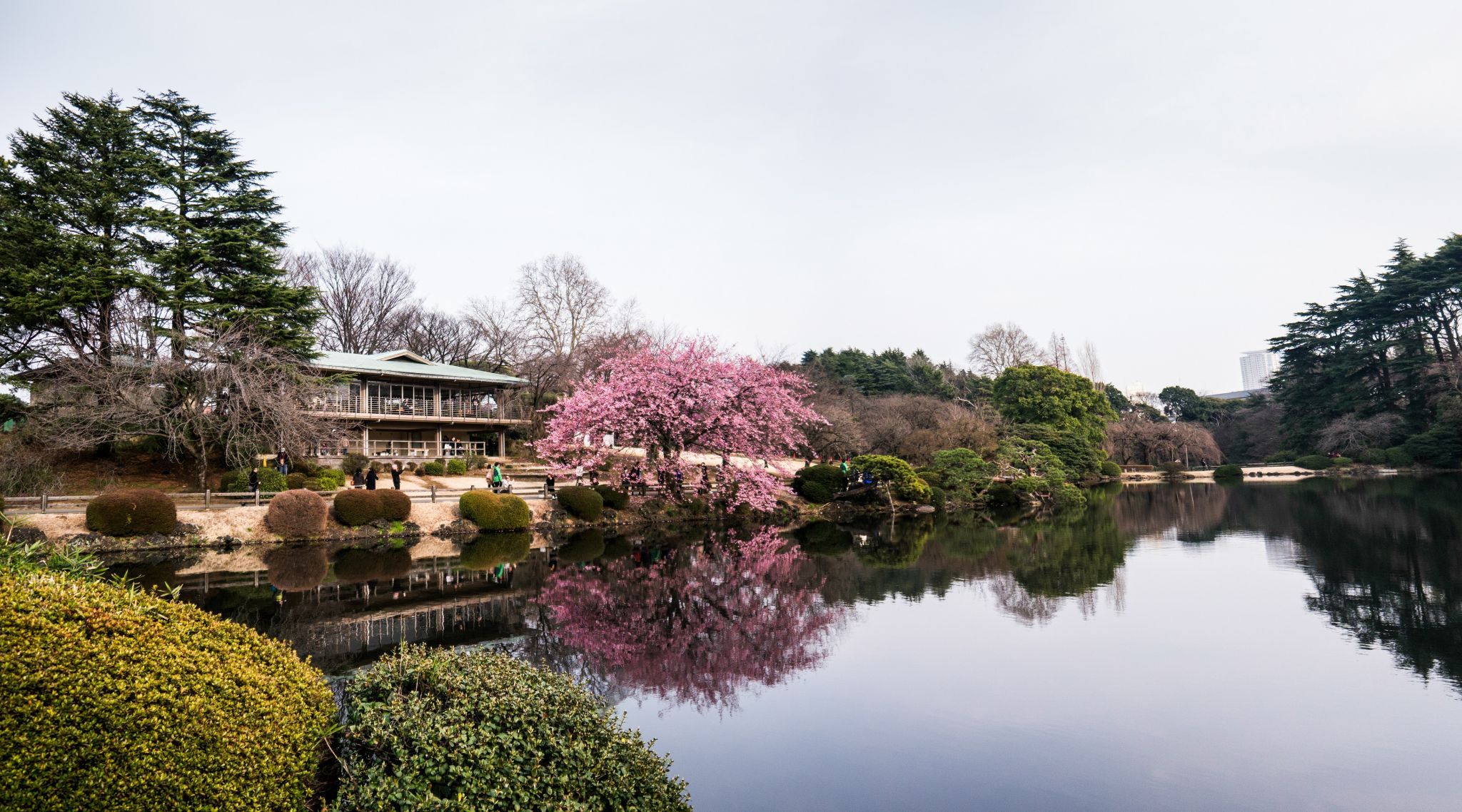 Shinjuku Gyoen Garden, Japan