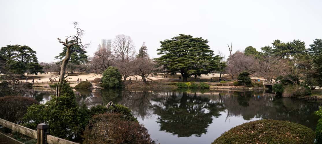 Shinjuku Gyoen Garden