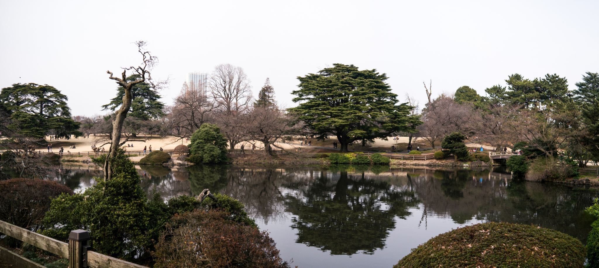Shinjuku Gyoen Garden, Japan