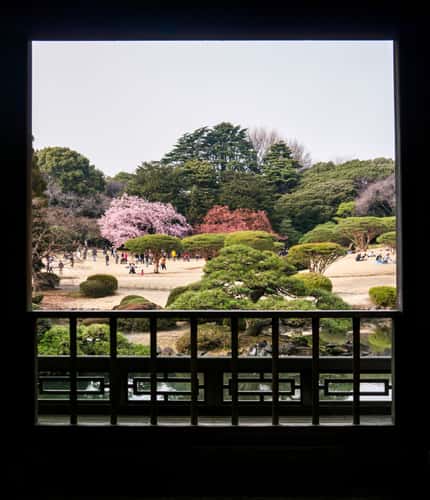 Shinjuku Gyoen Garden