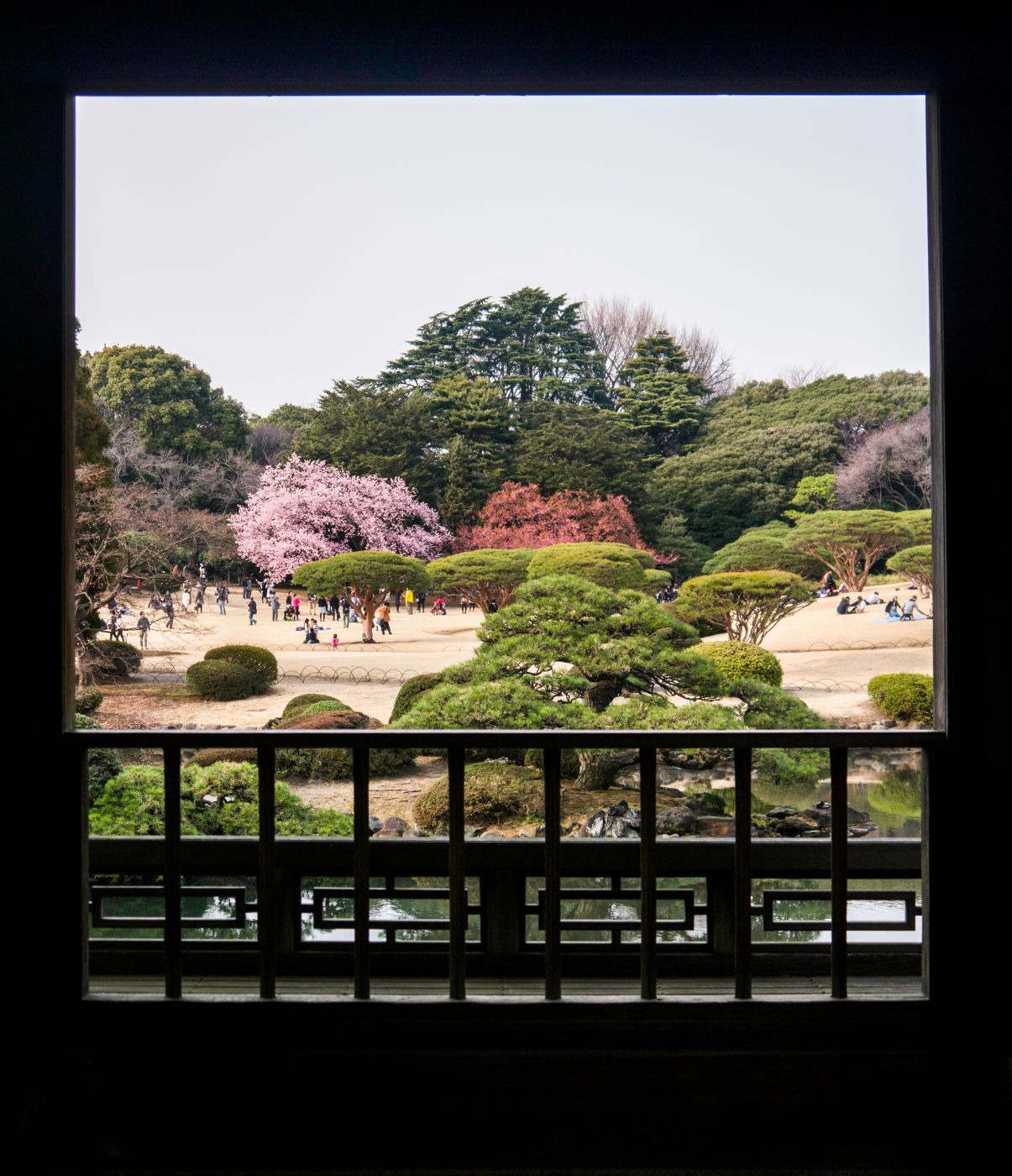 Shinjuku Gyoen Garden, Japan