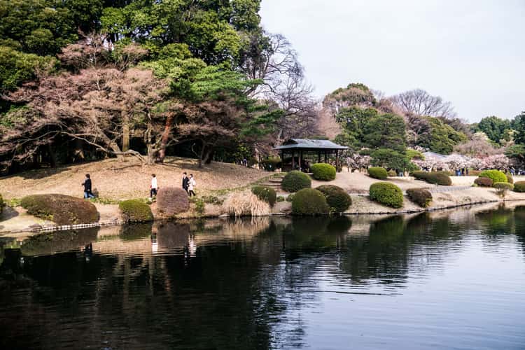 Shinjuku Gyoen Garden