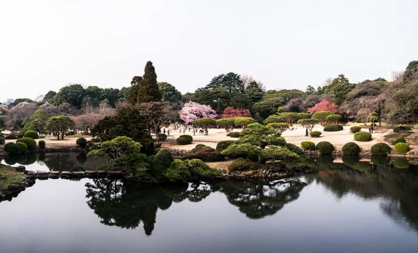 Shinjuku Gyoen Garden