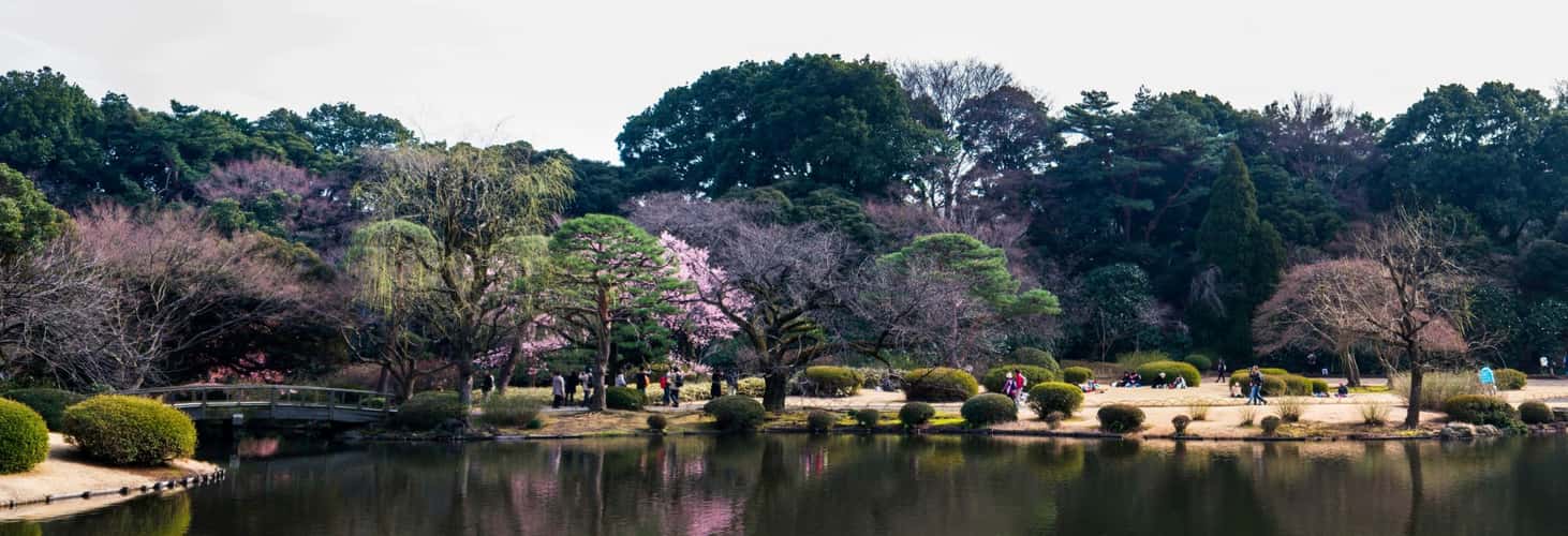 Shinjuku Gyoen Garden