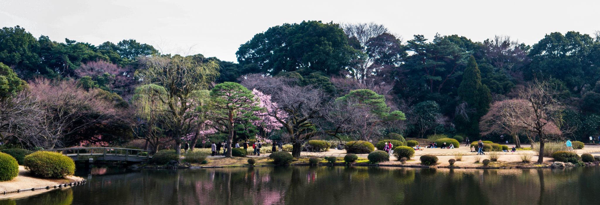Shinjuku Gyoen Garden, Japan