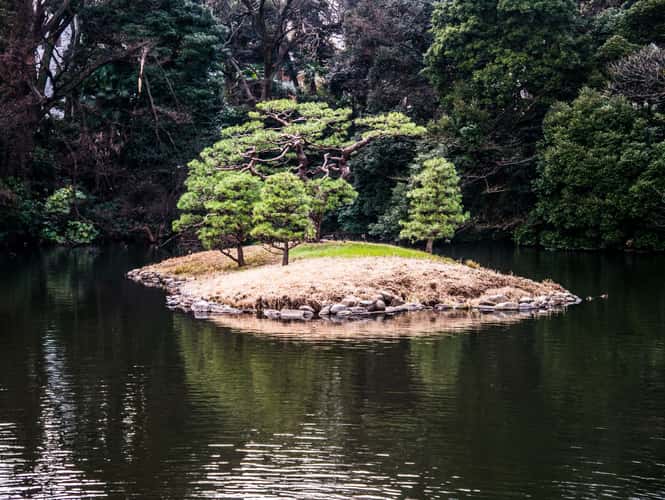 Shinjuku Gyoen Garden