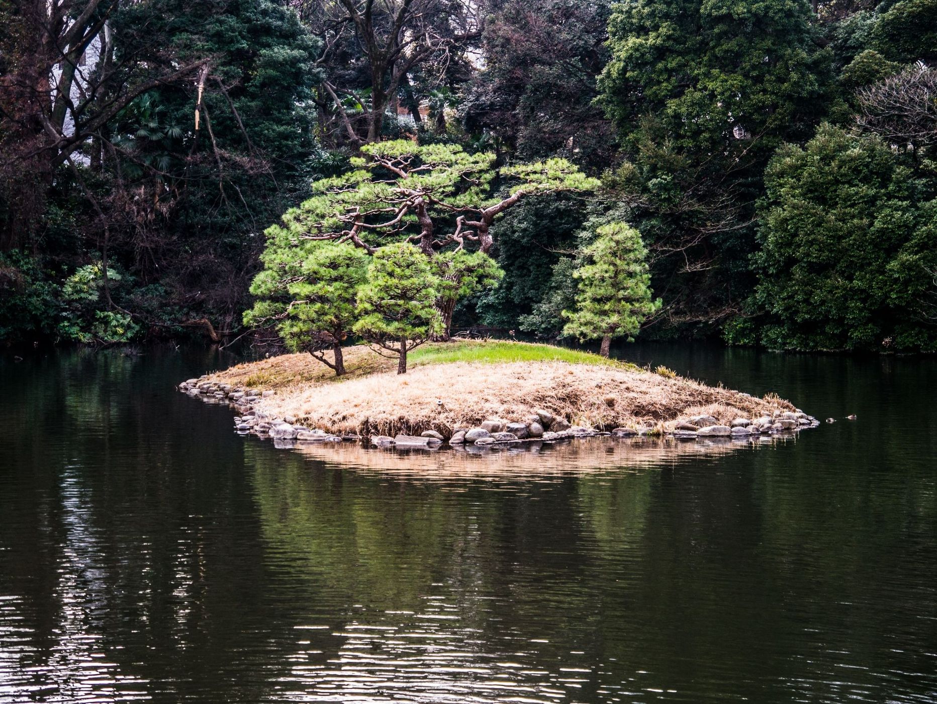 Shinjuku Gyoen Garden, Japan