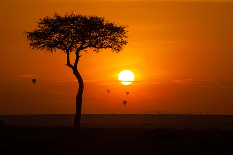 Sunrise in Maasai Mara National Reserve