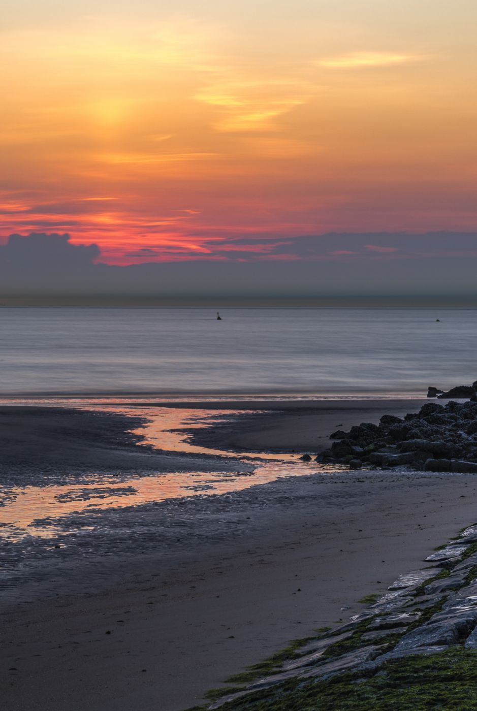Sunset Belgian coast at low tide, Belgium