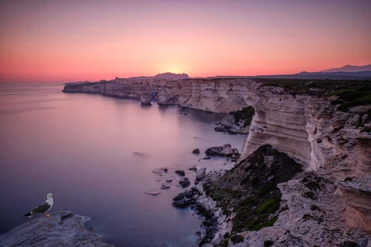 The cliff of Bonifacio