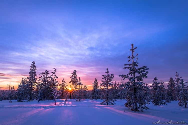 Rovaniemi