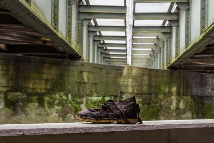 The Shoe