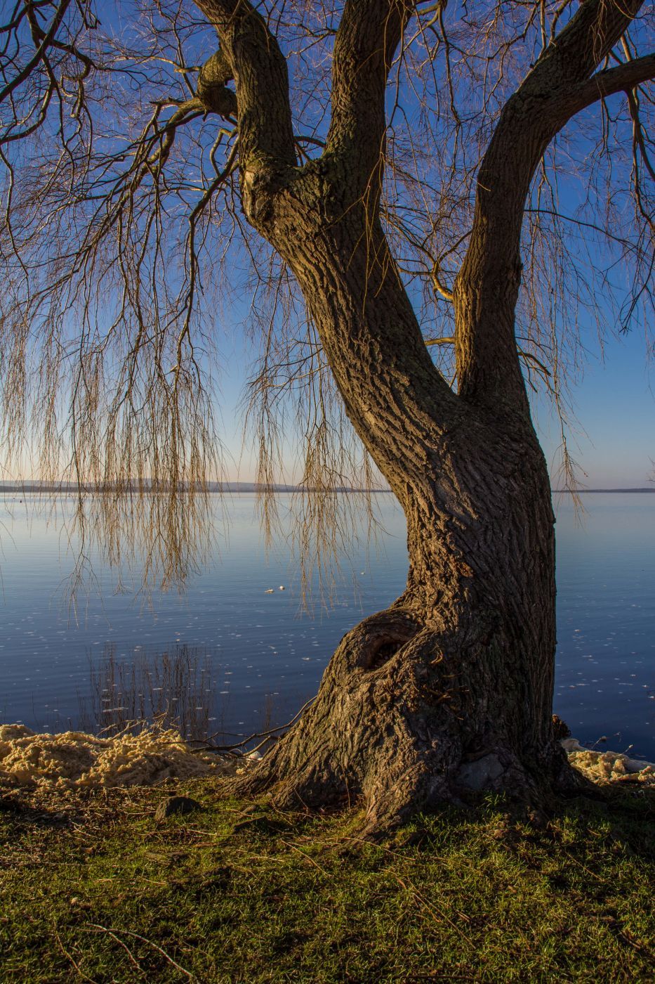 Promenade along Lake Steinhude, Germany