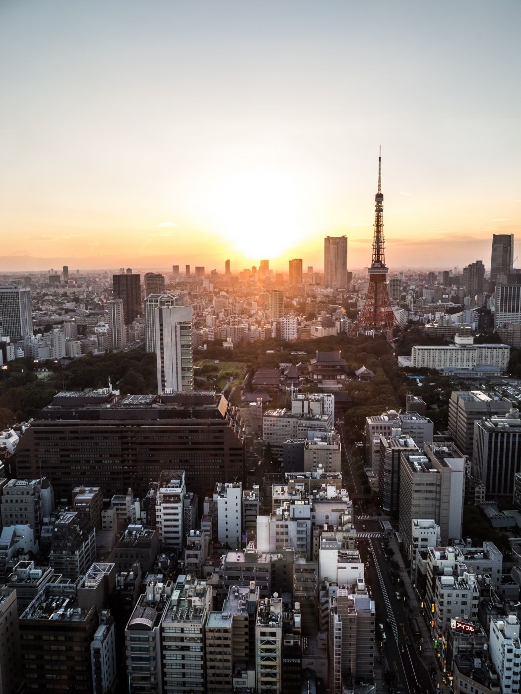 View from World Trade Center, Tokyo, Japan
