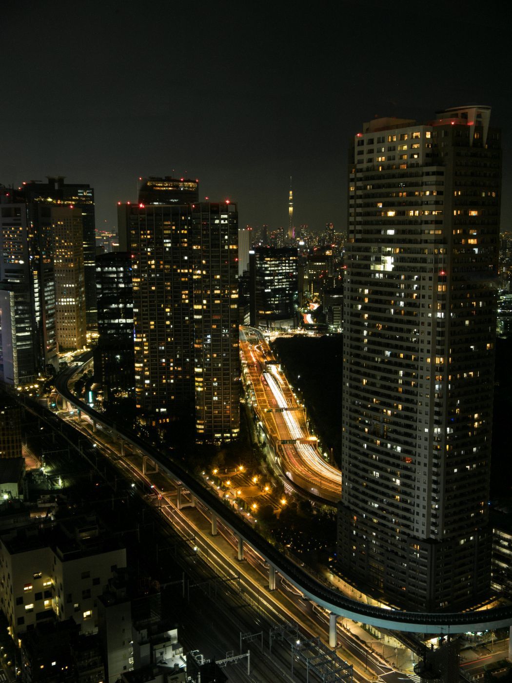 View from World Trade Center, Tokyo, Japan