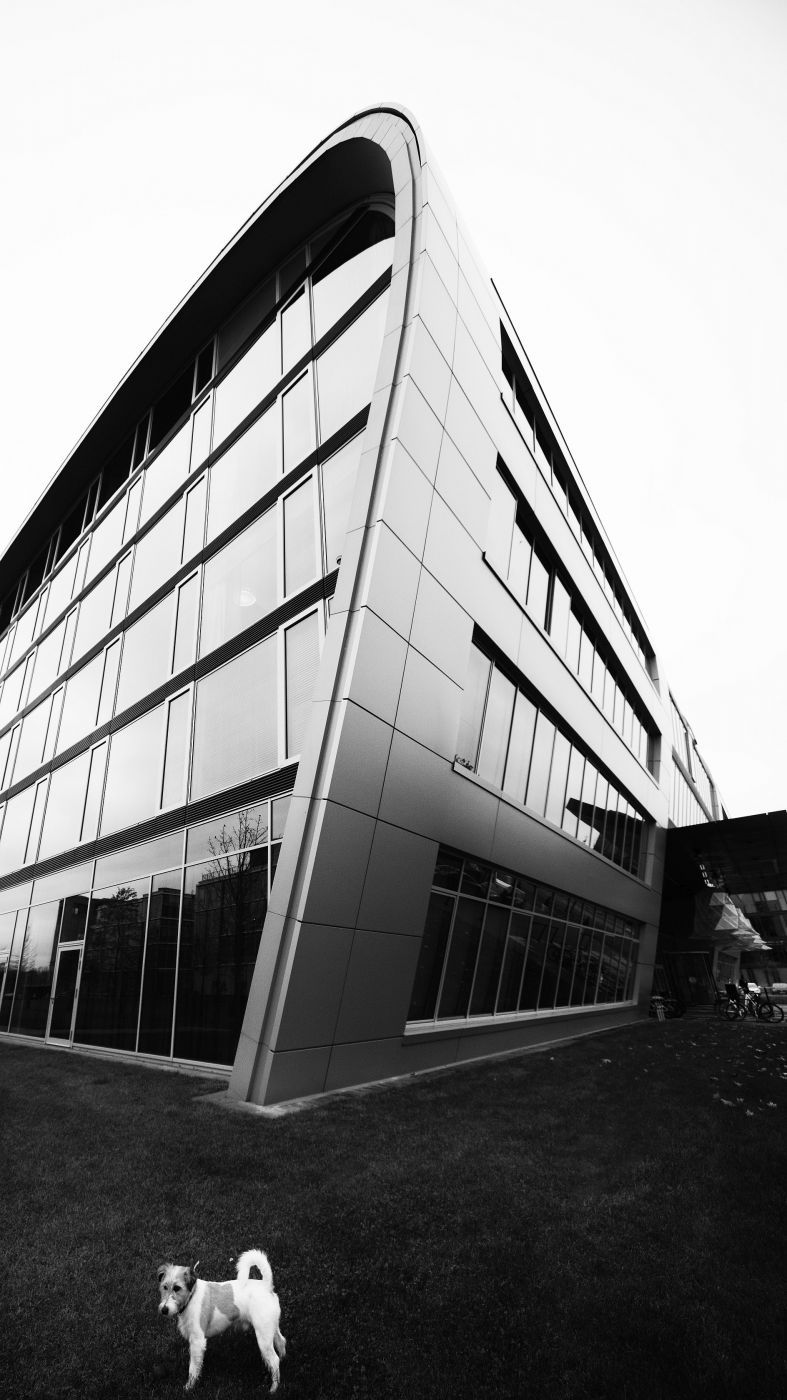 Architecture at Bonner Bogen, Germany