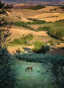 Belvedere im Val d'Orcia