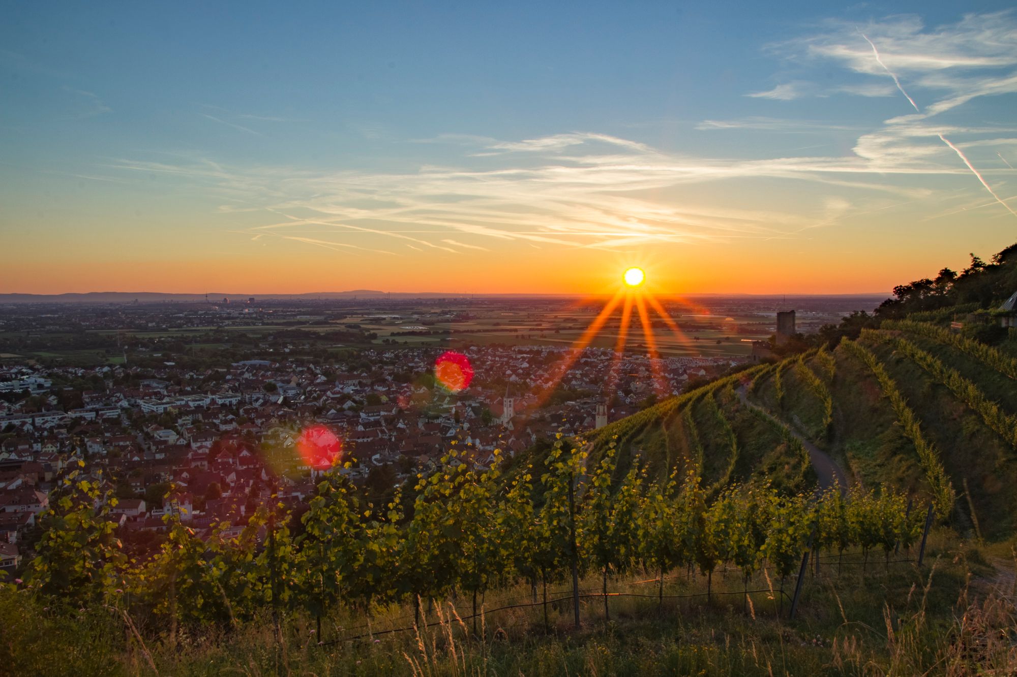 Blick auf die Rheinebene und die Strahlenburg, Germany