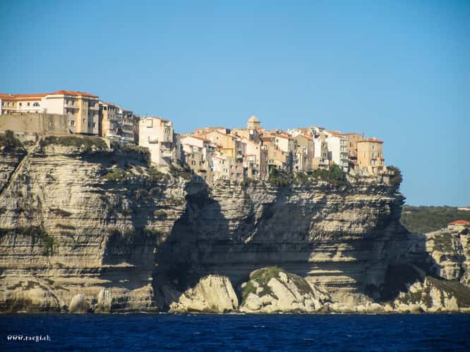 Bonifacio