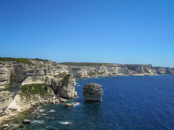 Bonifacio