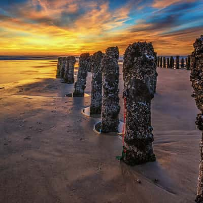 Buhnen at Rantum Beach, Germany