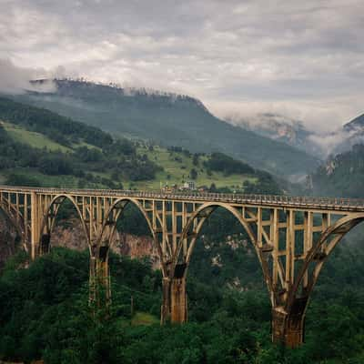 Đurđevića Tara Bridge, Montenegro