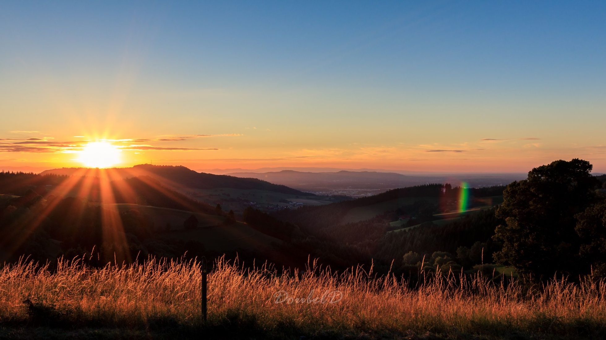 Classic evening Walk in the Blackforest, Germany