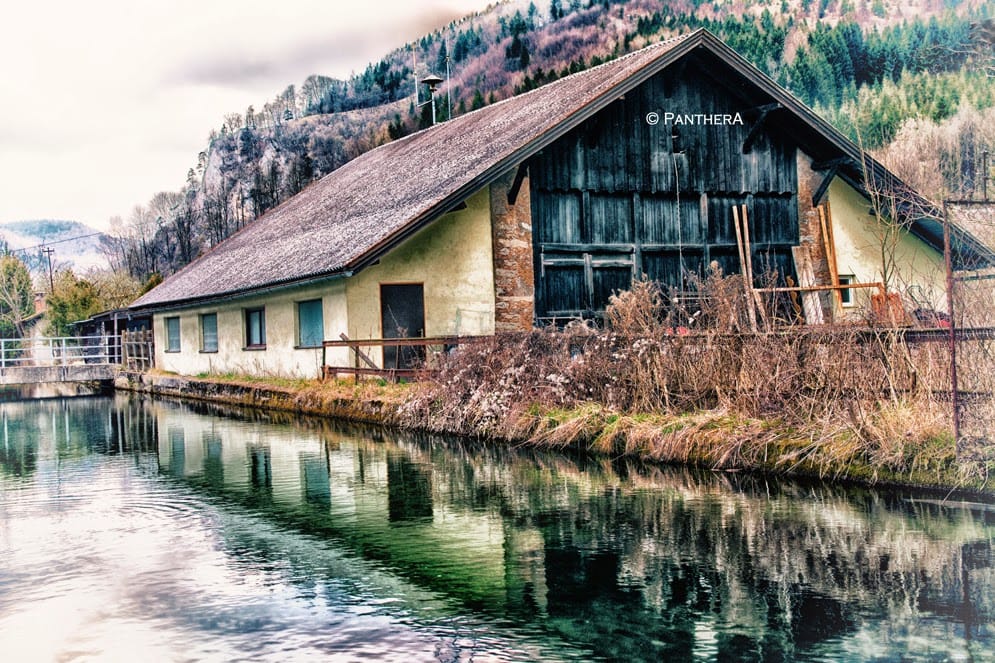 Freiland, Austria