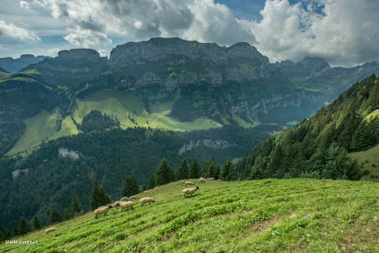 Gasthaus Aescher-Wildkirchli