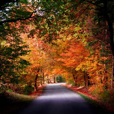 Haarweg - Soester Börde, Germany